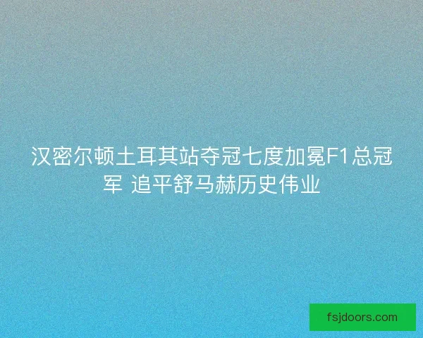 汉密尔顿土耳其站夺冠七度加冕F1总冠军 追平舒马赫历史伟业 汉密尔顿土耳其站夺冠七度加冕F1总冠军 追平舒马赫历史伟业